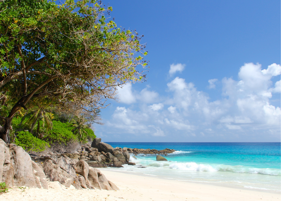 Spieggia paradisiaca alle Seychelles