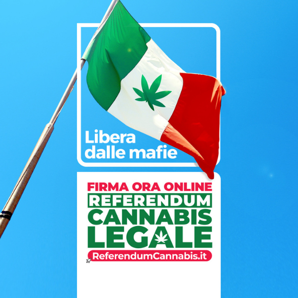 manifesto per la raccolta firme a favore della legalizzazione della cannabis